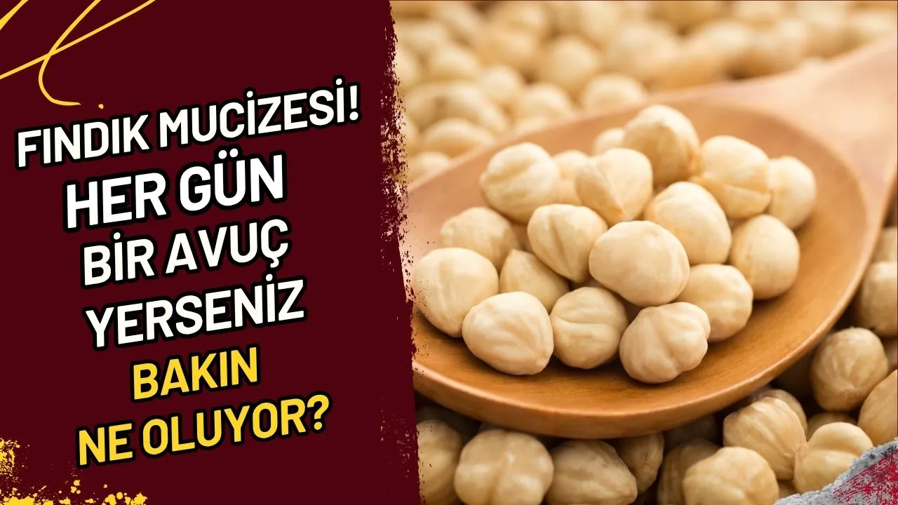 Fındık Mucizesi! Her Gün Bir Avuç Yerseniz Bakın Ne Oluyor?