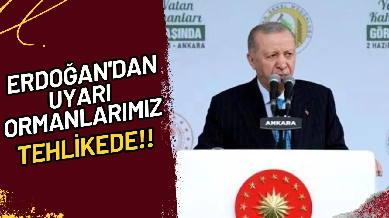 Erdoğan'dan Uyarı Ormanlarımız Tehlikede!!