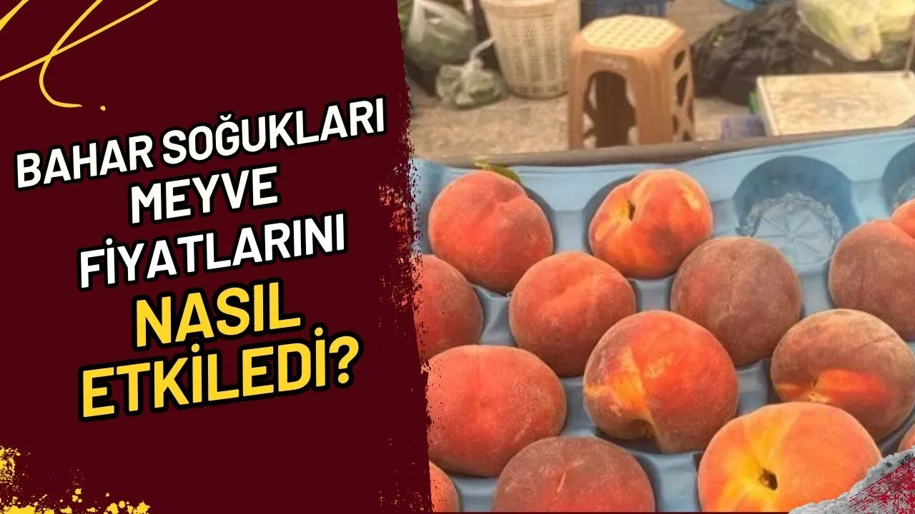 Bahar Soğukları Meyve Fiyatlarını Nasıl Etkiledi?