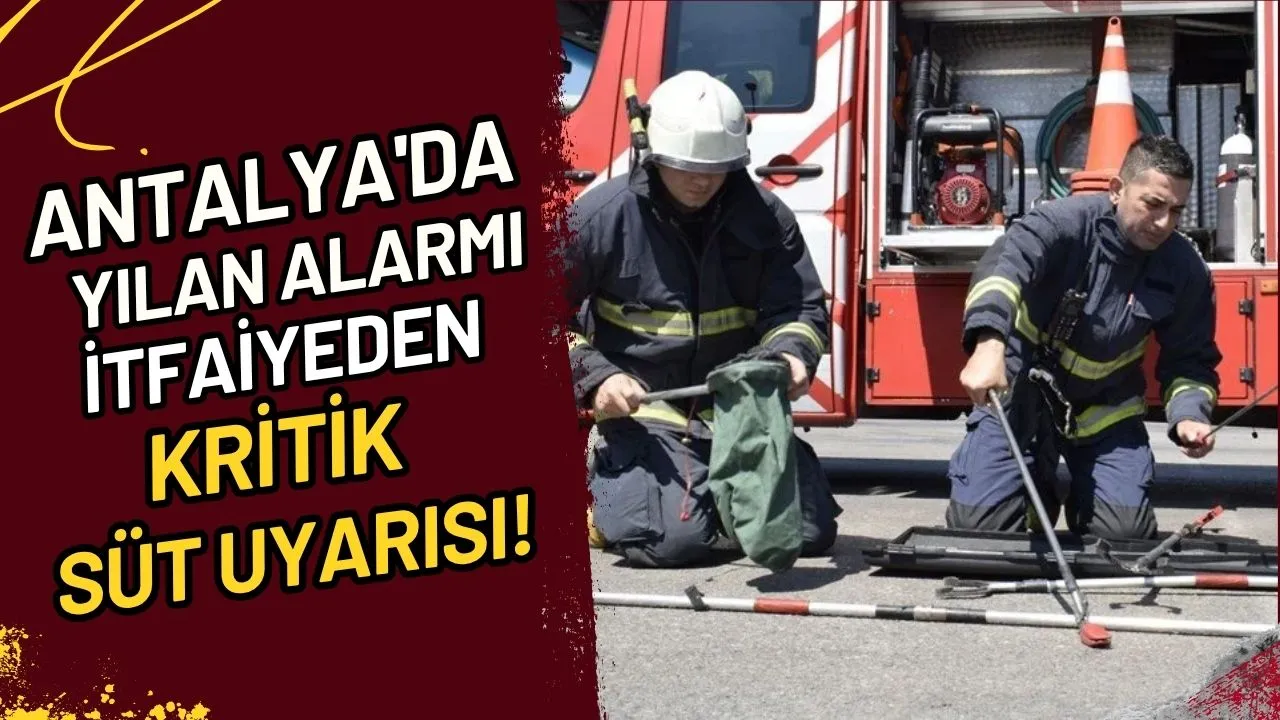 Antalya'da Yılan Alarmı İtfaiyeden Kritik Süt Uyarısı!