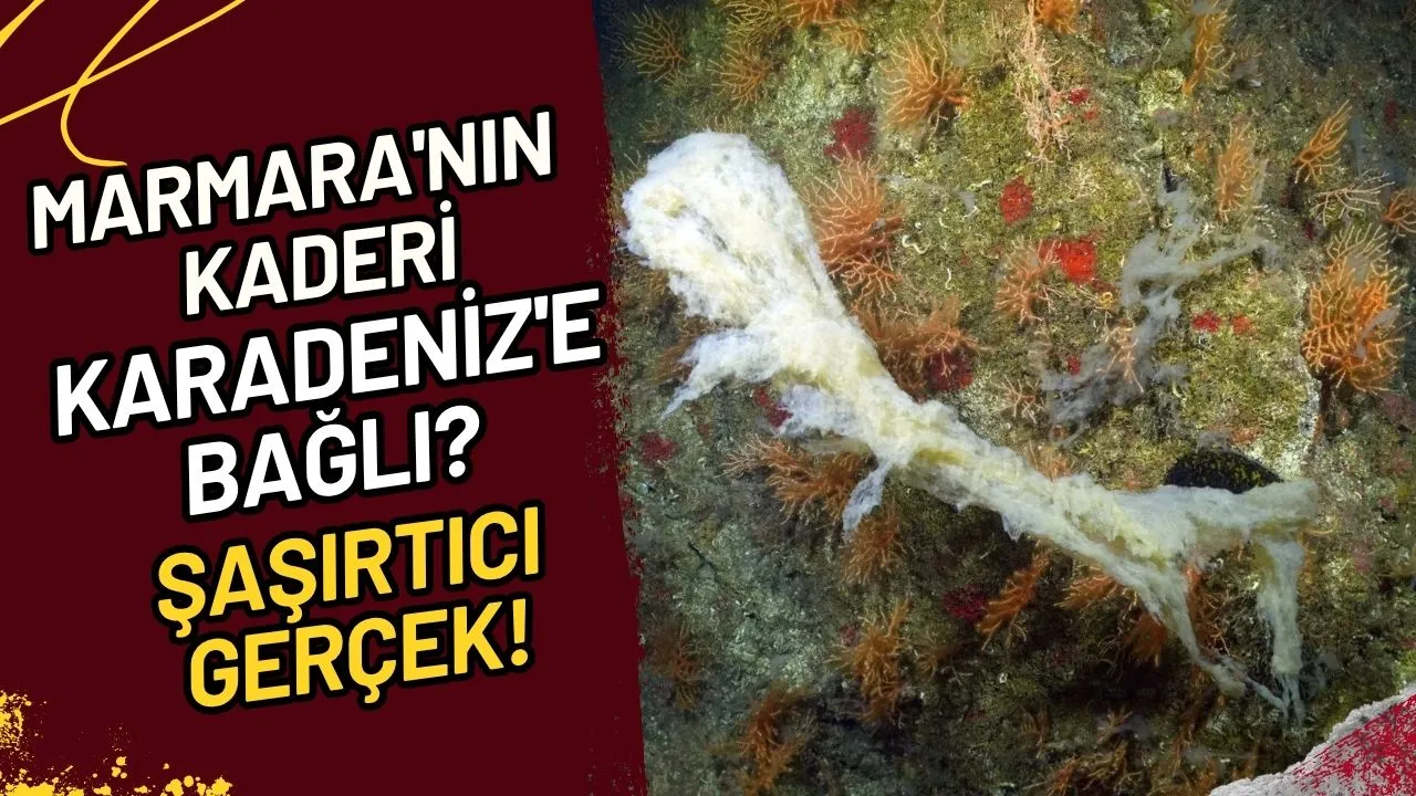 Marmara'nın Kaderi Karadeniz'e mi Bağlı? Şaşırtıcı Gerçek!