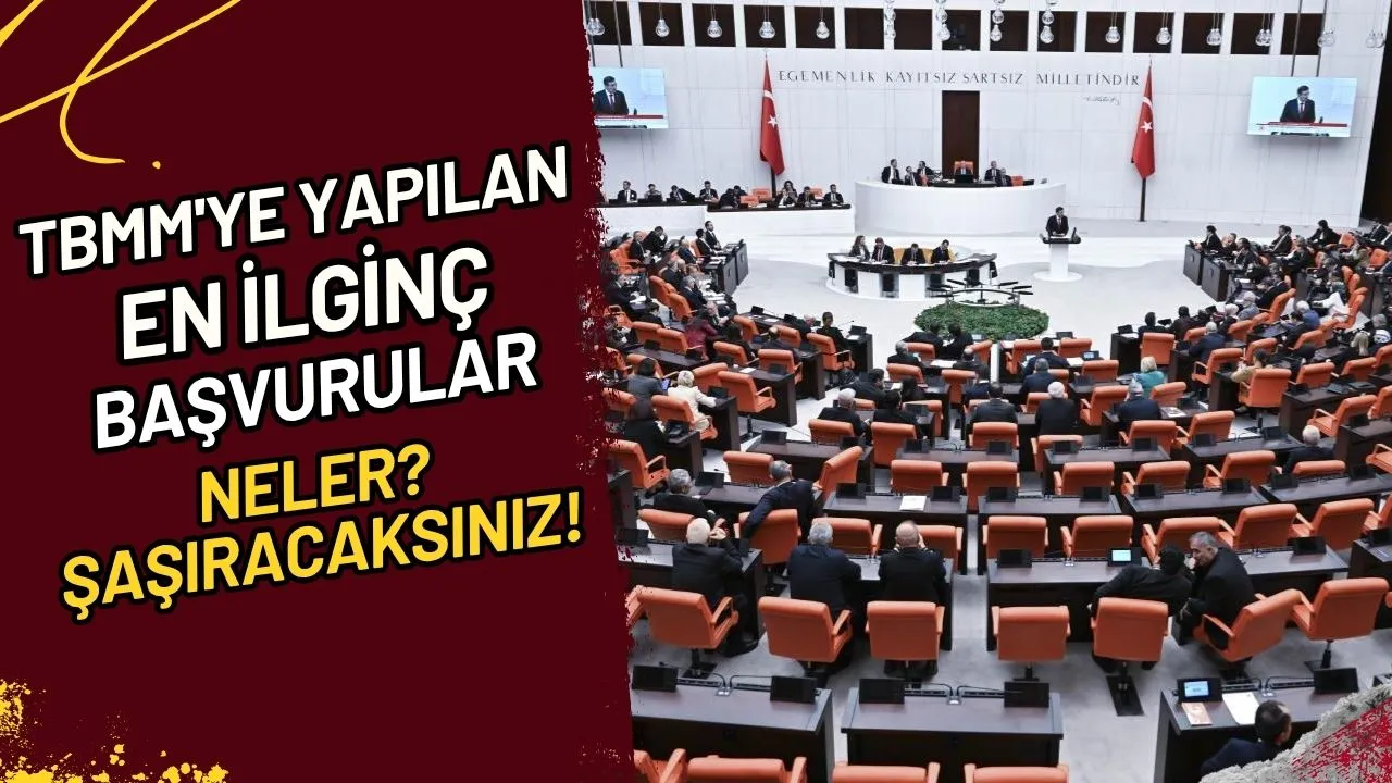 TBMM'ye Yapılan En İlginç Başvurular Neler? Şaşıracaksınız!