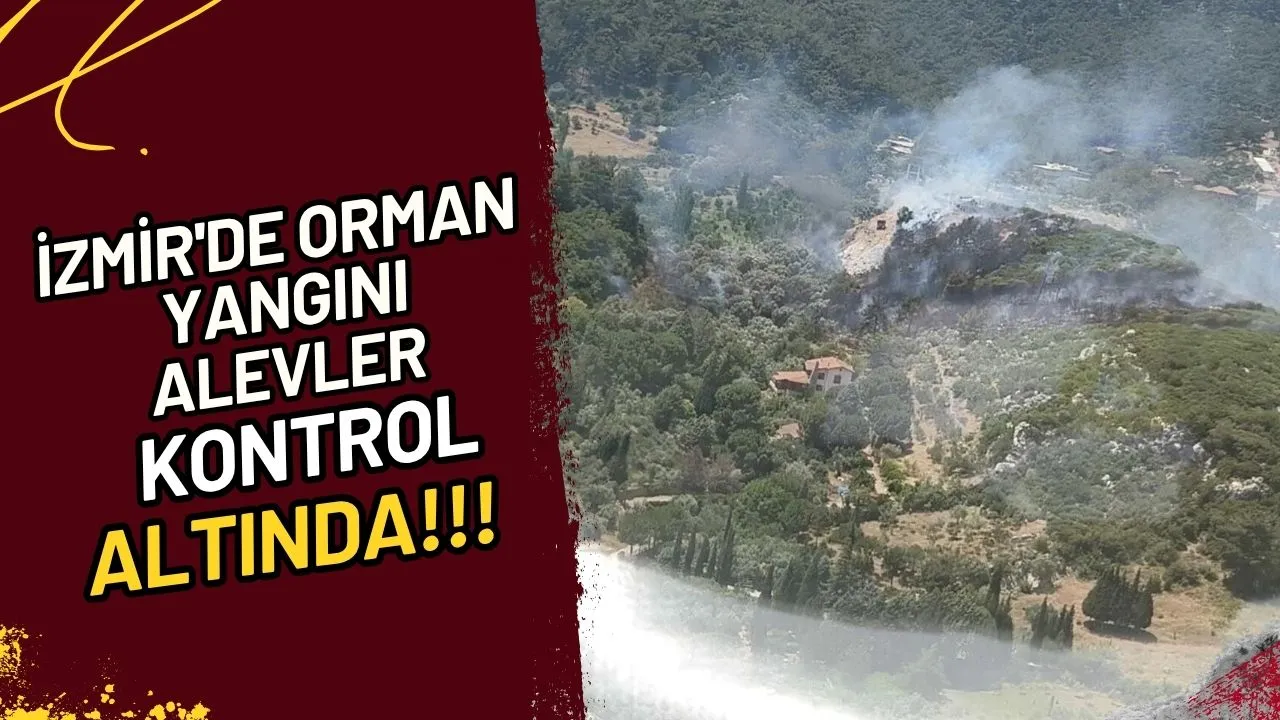 İzmir'de Orman Yangını Alevler Kontrol Altında mı?