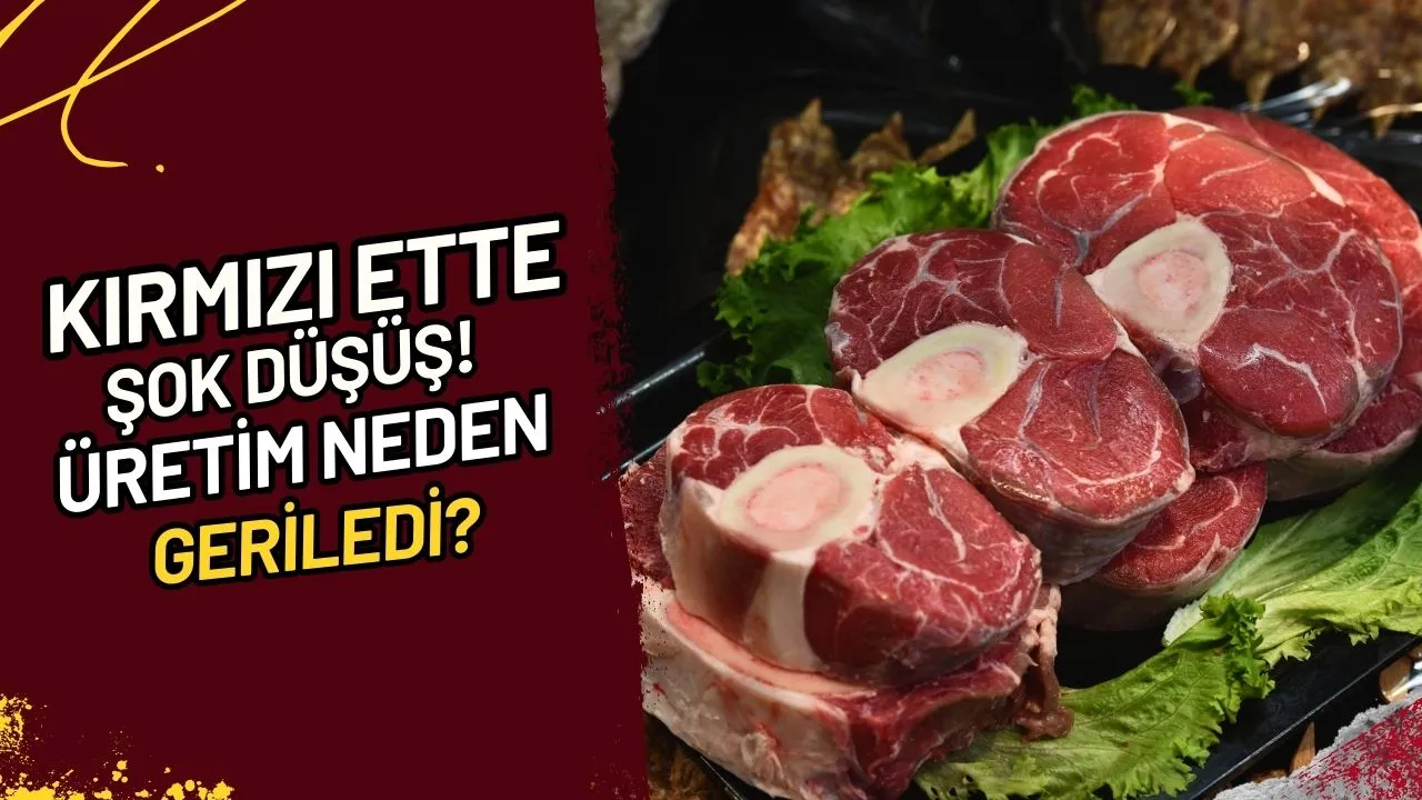 Kırmızı Ette Şok Düşüş! Üretim Neden Geriledi?