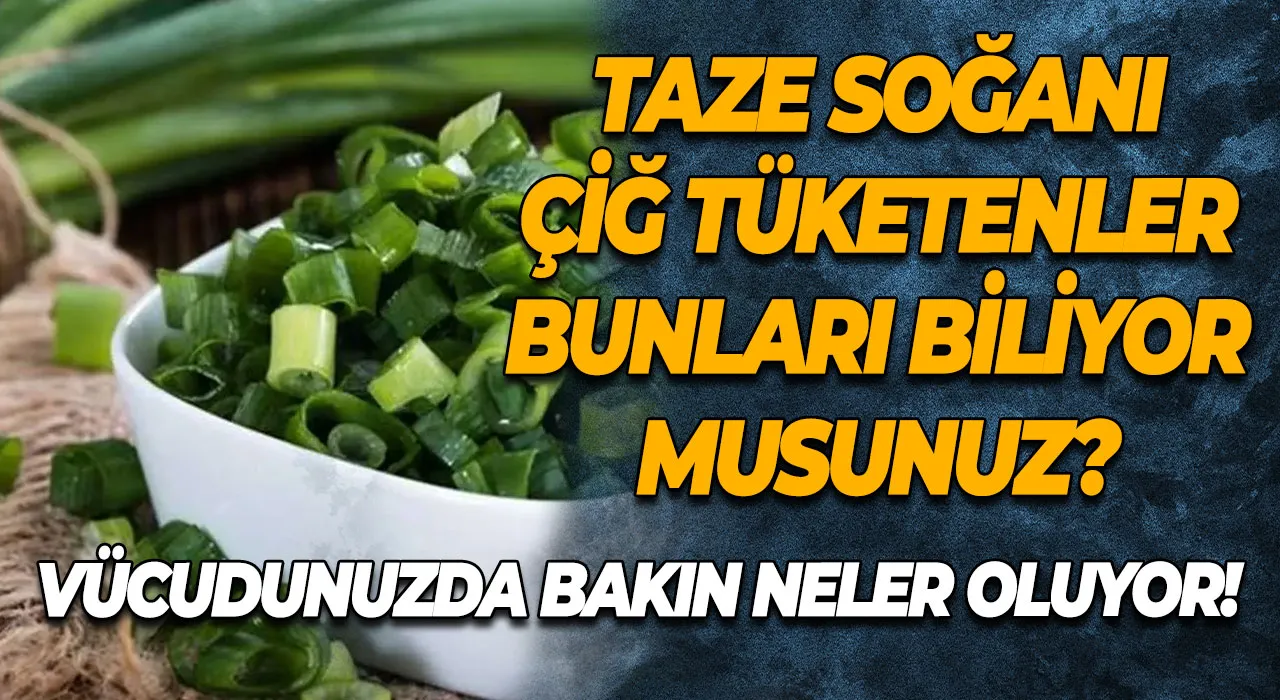 Taze soğanı çiğ tüketenler bunları biliyor musunuz? Vücudunuzda bakın neler oluyor!