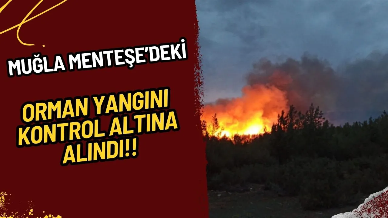 Son Dakika: Muğla Menteşe'deki Orman Yangını Kontrol Altına Alındı! Soğutma Çalışmaları Başladı