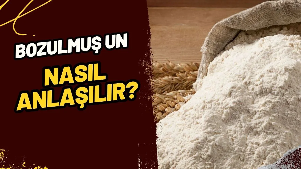 Un Bozulur Mu? Bayat ve Bozuk Unu Anlamanın Püf Noktaları!