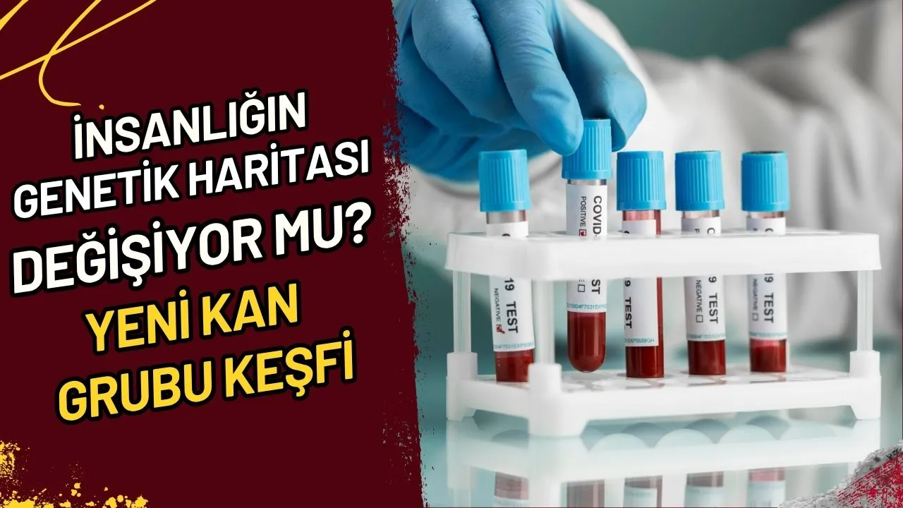 İnsanlığın Genetik Haritası Değişiyor mu? Yeni Kan Grubu Keşfi