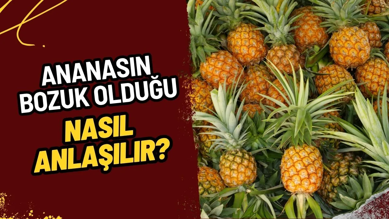 Ananasın Bozuk Olduğu Nasıl Anlaşılır? Mükemmel Ananas Seçimi ve Saklama Tüyoları!