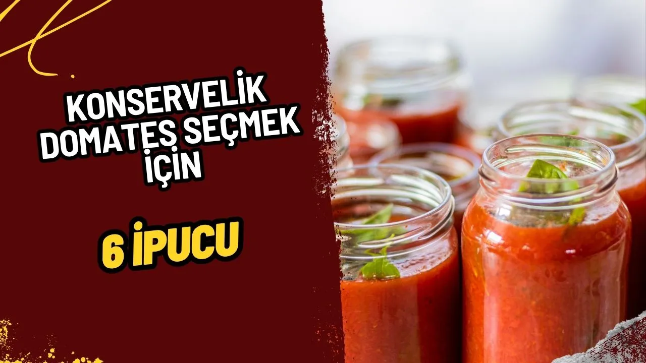 Konservelik Domates Seçiminin Püf Noktaları: Menemenleriniz Kışın da Yaz Tadında Olacak!