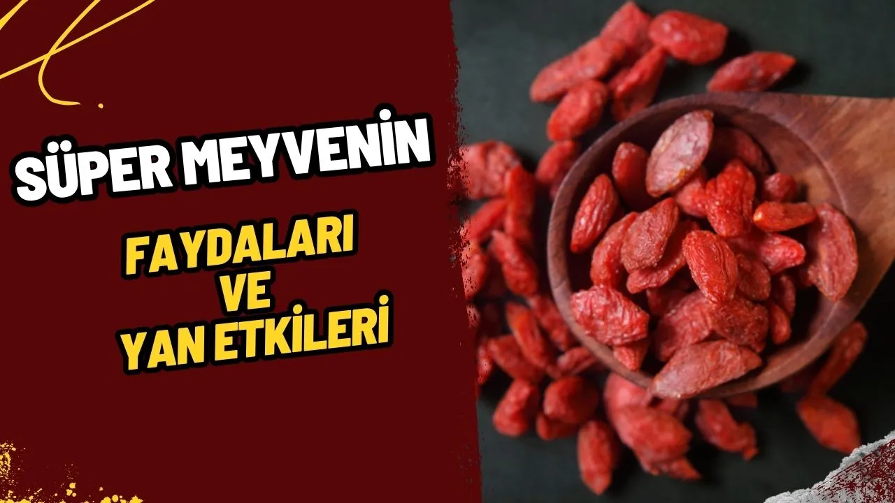 Goji Berry (Kurt Üzümü) Nedir? Süper Meyvenin Faydaları, Kullanımı ve Yan Etkileri