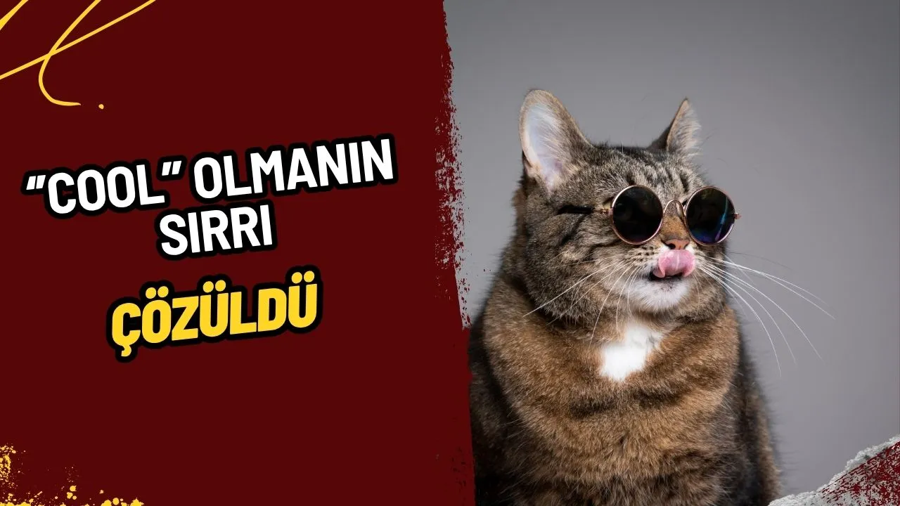 "Cool" Olmanın Sırrı Çözüldü: Dünya Genelinde Ortak 3 Özellik Ortaya Çıktı!
