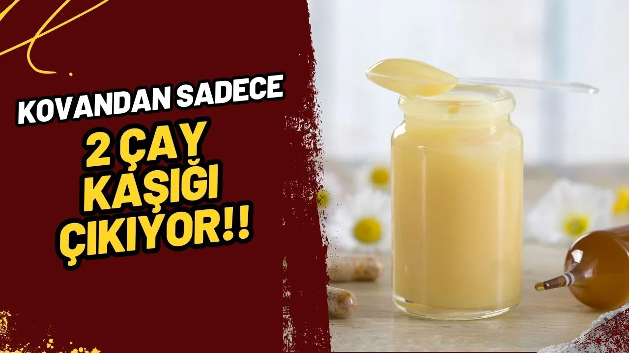 Hastalıklara Şifa Kaynağı! Kovandan Sadece 2 Çay Kaşığı Çıkıyor, Kilosu 45 Bin TL!