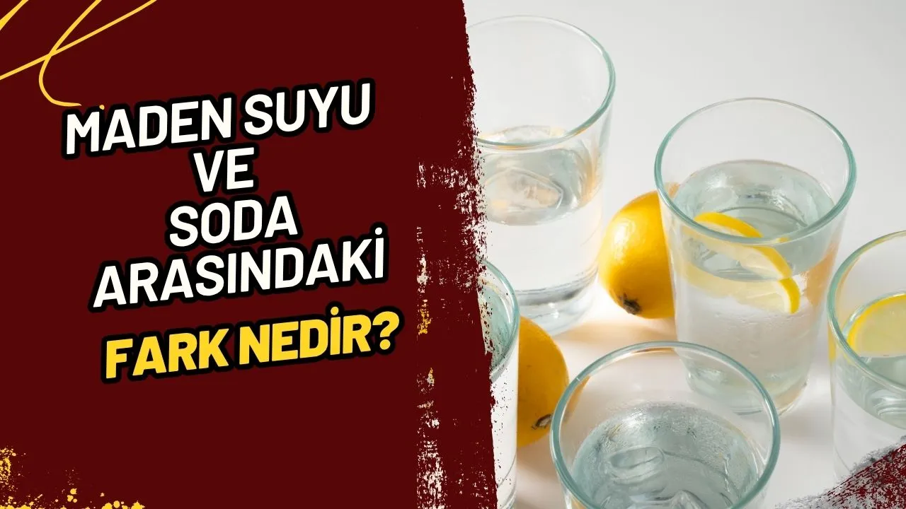 Maden Suyu ile Soda Arasındaki Fark Nedir? Doğal Mineral Kaynağı mı, Yapay Gazlı İçecek mi?