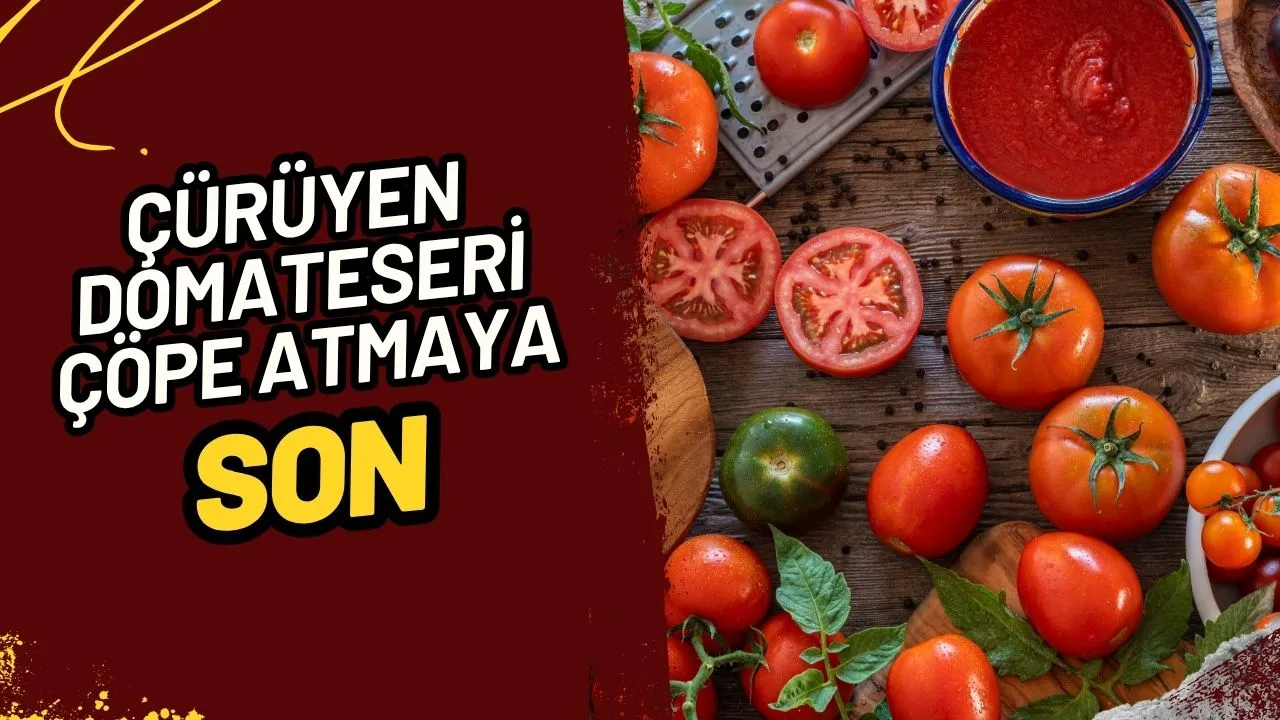 Çürüyen Domatesleri Sakın Çöpe Atmayın! Bakın Hangi Alanlarda Değerlendirebilirsiniz?