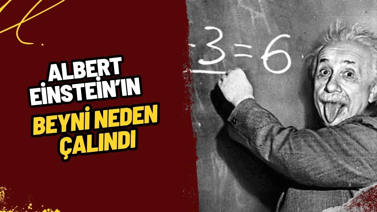 Albert Einstein'ın Beyni Neden Çalındı? Ölümünden Sonraki Gizemli Olayın Perde Arkası!
