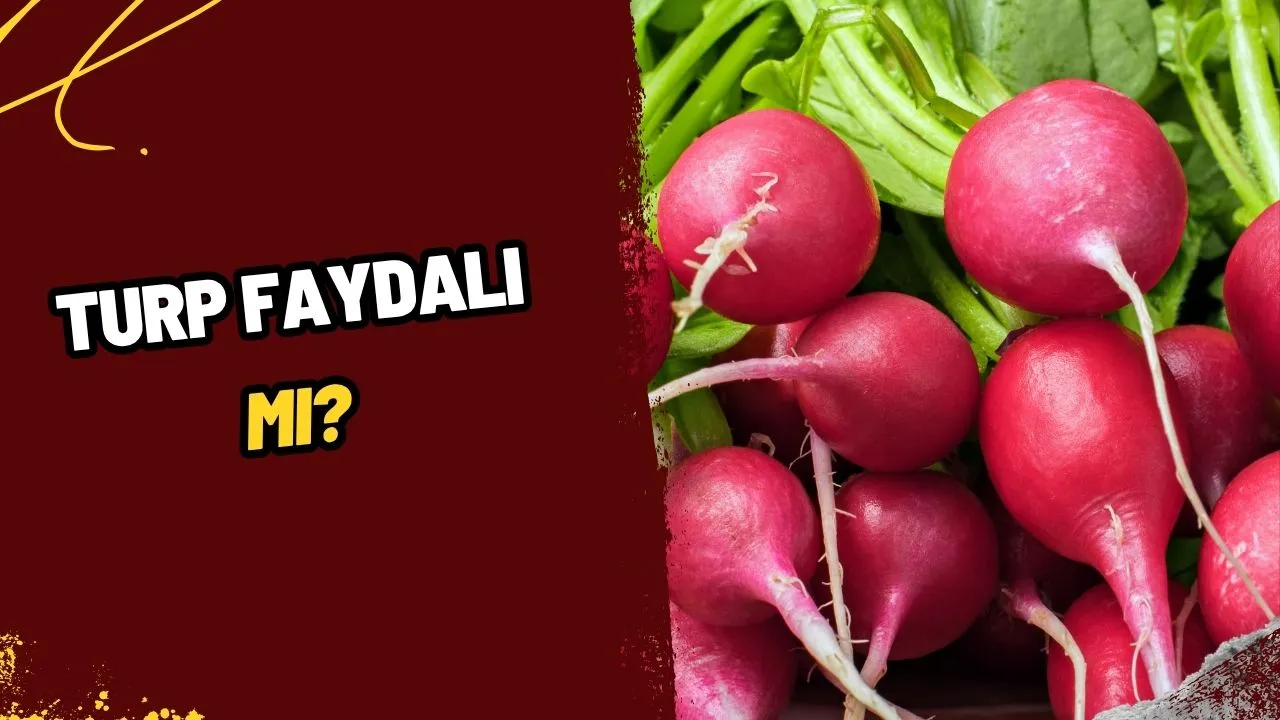 Turpun Şaşırtıcı Faydaları: Sofralarınızdan Eksik Etmemeniz İçin 7 Önemli Neden!